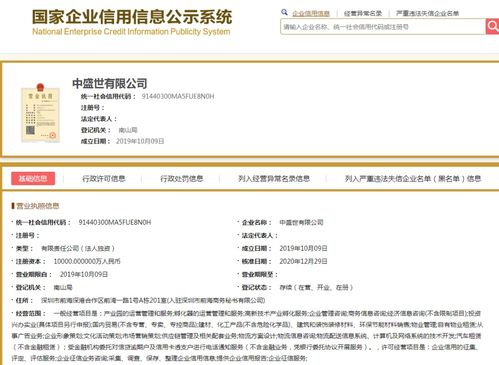 商務(wù)信息咨詢 洞悉市場(chǎng)先機(jī)，賦能企業(yè)決策